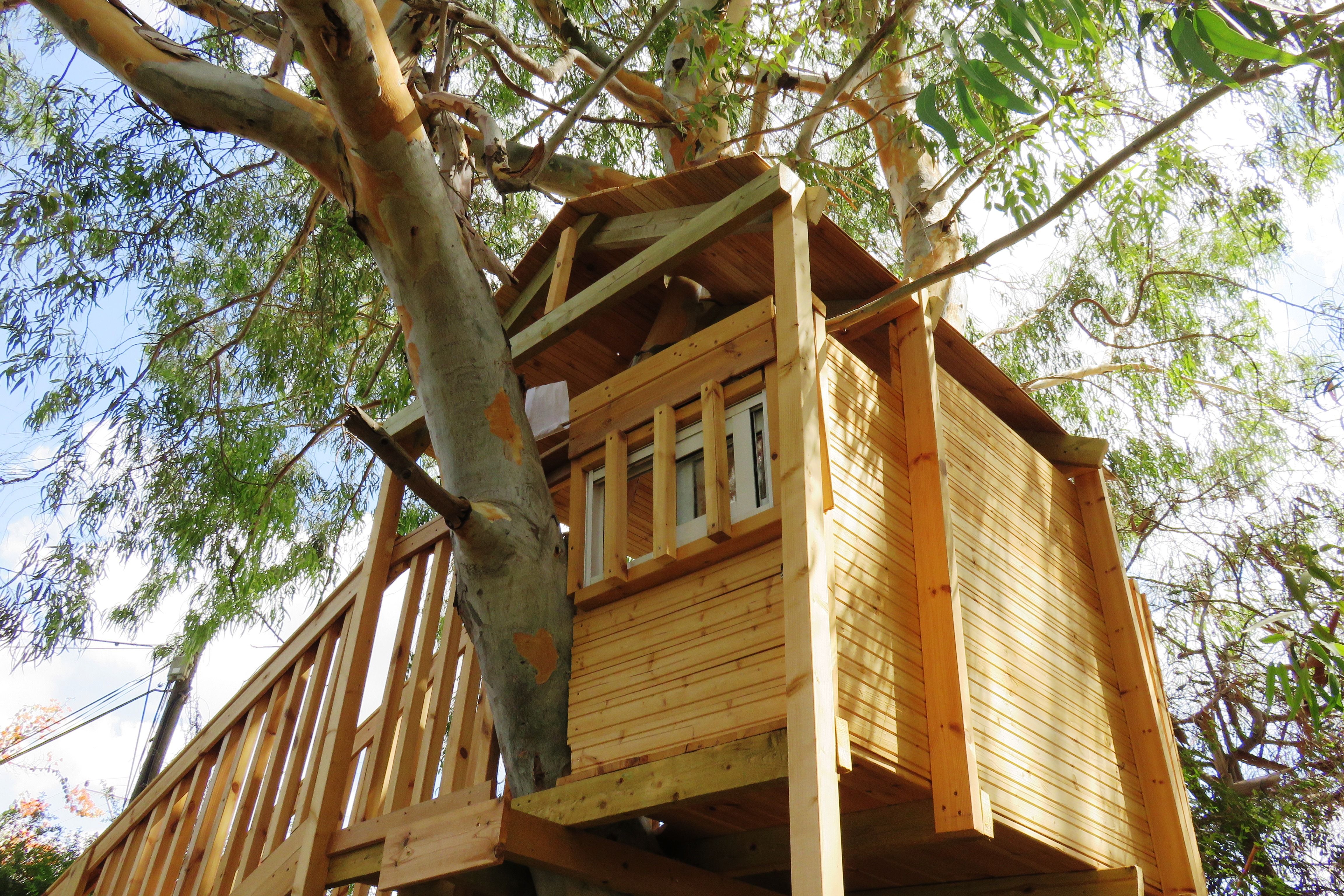 treehouse accommodation